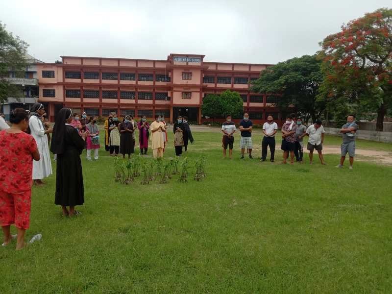 Assisi Higher Secondary School, Dimapur, observed World Environment Day by planting 154 saplings of Ashoka plants along the Lake View Colony Road on June 5. Principal Rev. Sr. Judith Pinto expressed gratitude to village Gaonbura M Silu Jamir, village council, village youth and the  villagers for their co-operation and assurance to nurture the saplings.